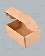 Почтовая коробка Тип Д, №2, без логотипа 220х165х100