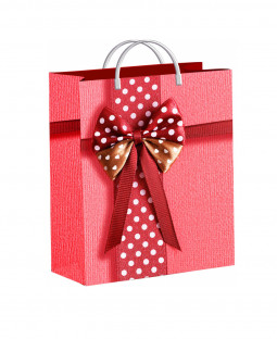 Подарочный пакет 24см*26см(+5)*140мкм, ламинат "Бантик в горошек"