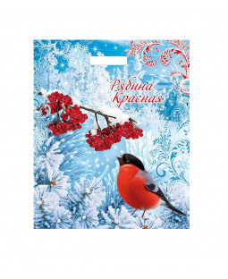 Новогодний пакет 38см*45см(+3)*60мкм, ламинат "Рябина красная"