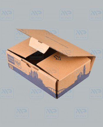 Почтовая коробка тип S, с логотипом 260х170х80